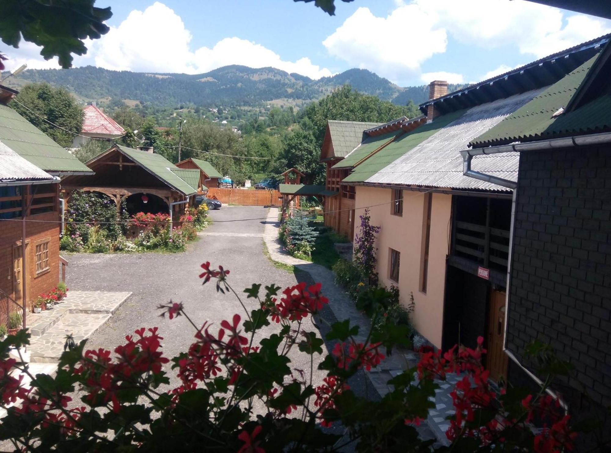 Pensiunea Poiana Borşa Exterior foto